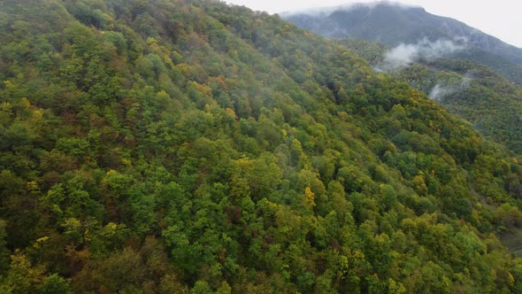 Misty Autumn Mountain Aerial View