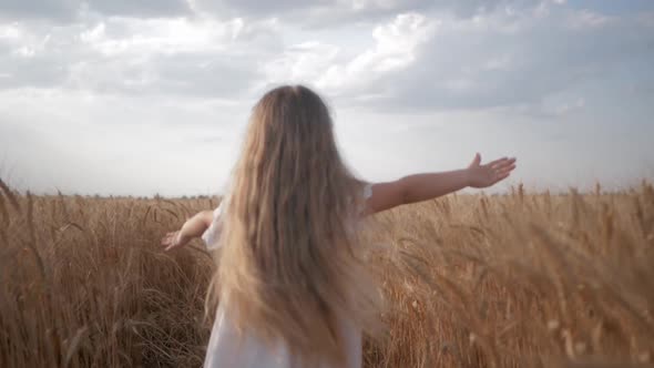 Little Child Girl with Long Beautiful Hair Runs Across Wheat Field with Golden Spikelets of Grain in