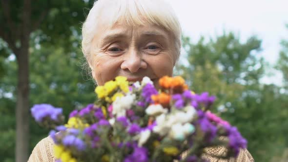 Joyful Aged Lady Receiving Field Flowers Bouquet on Date, Romantic Present, Love