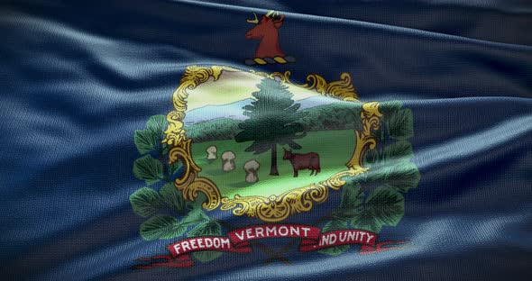 Vermont state flag waving background