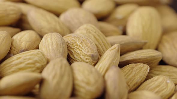 Macro Shot of Dried Rotating Almond