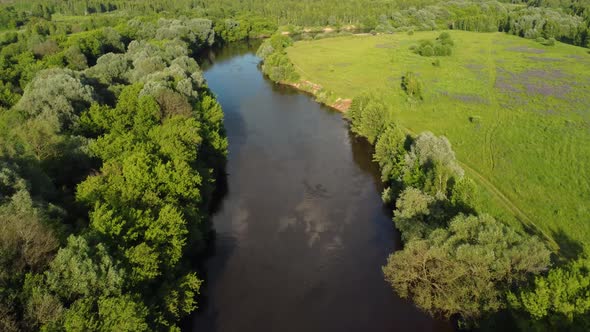 Drone Flight Over Water and Trees From a Height