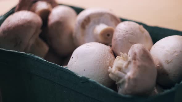 Close up of female hands taking mushrooms form a plastic box