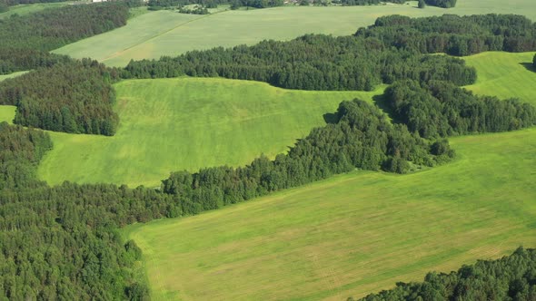 View From the Height of the Green Field and the Forest Near Minsk