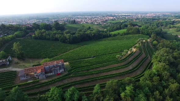 Aerial drone shot bird view of the green hills in the Valdobbiadene prosecco area. Vineyards with ru