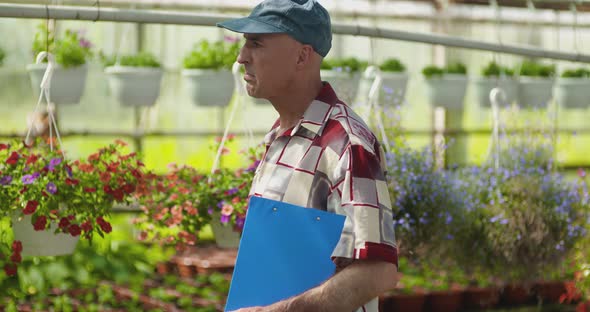 Researcher Examining Potted Plant At Greenhouse