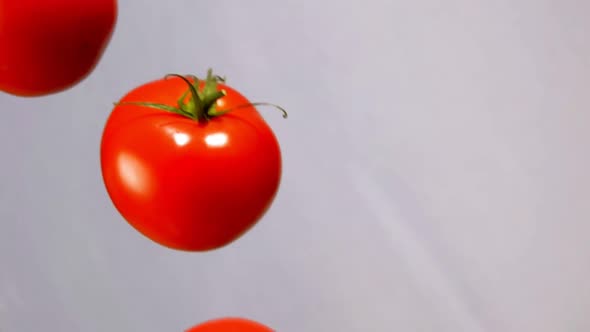 Tomatoes Are Falling Down on on a White Background