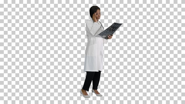 Female medical doctor reading x rays of, Alpha Channel