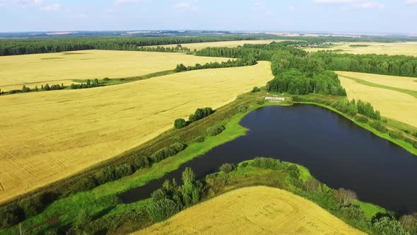 Wheat Field Drone 03