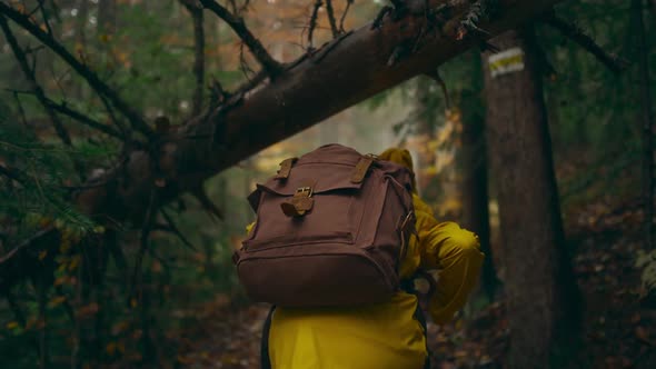 Slow Motion Camera Follows Woman Hiker in Yellow Raincoat and Knitted Beanie with Backpack Hiking in