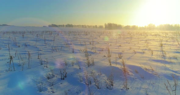 Aerial Drone View of Cold Winter Landscape with Arctic Field, Trees Covered with Frost Snow and