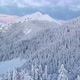 Flying over a winter forest after fresh snow - VideoHive Item for Sale