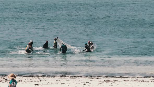 Group African Women Catching Fish Seafood Using Fishing Net in Ocean Zanzibar