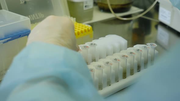 Researcher Works at Molecular Genetic Research Laboratory Workplace for DNA Test