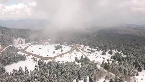 Fog On Snowy Forest Aerial