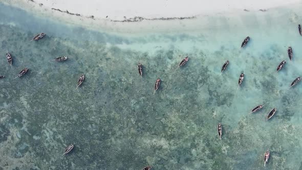 Vertical Video of the Coast of Zanzibar Island Tanzania Slow Motion