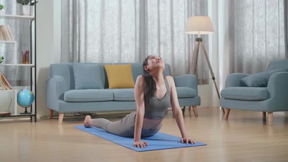 Female In Sports Clothes Training On A Yoga Mat, Doing Upward Facing Dog During Workout At Home