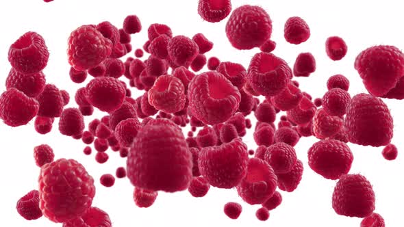 Burst of Raspberry in White Background with Alpha Channel