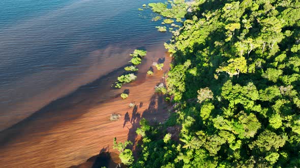 Stunning landscape of Amazon Forest at Amazonas State Brazil.