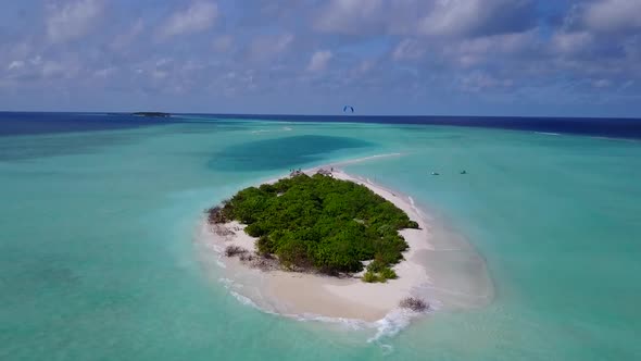 Aerial drone travel of coastline beach wildlife by lagoon with sand background