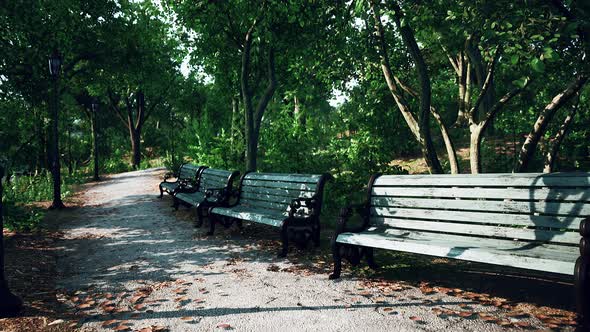 Empty Benches at Public Park During Curfew Cause of Corona Virus Quarantine