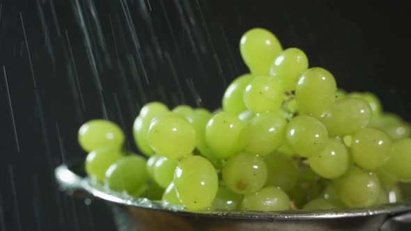 Amazing Sprinkling in Slow Motion Grapes Close Up on Black Background