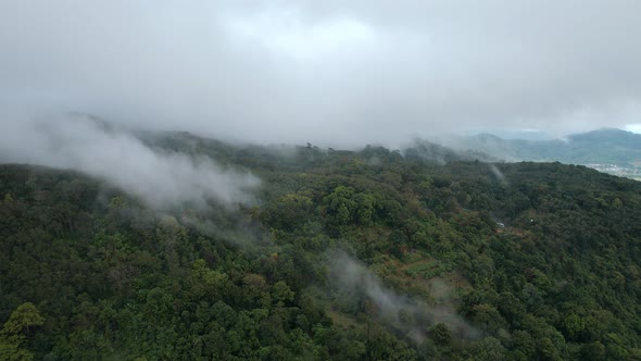 Aerial View of Foggy Mountain in Tropical Rainforest on Rainy Day in National Park