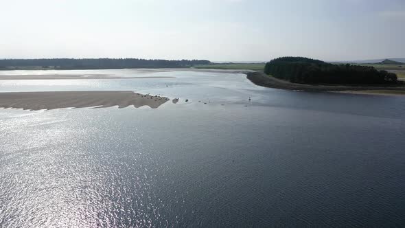 Aerial View of Seal Colony Resting on Sandbanks in County Donegal - Ireland