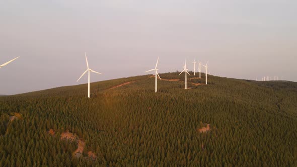 Aerial shot of a wind farm