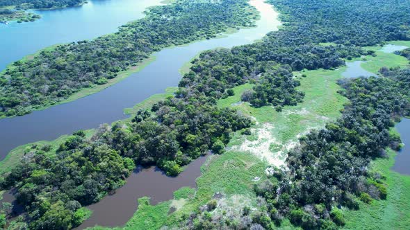 Stunning landscape of Amazon Forest at Amazonas State Brazil.