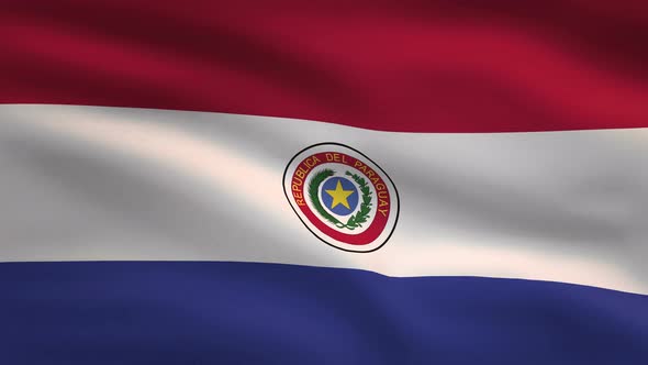 Paraguay Windy Flag Background 4K