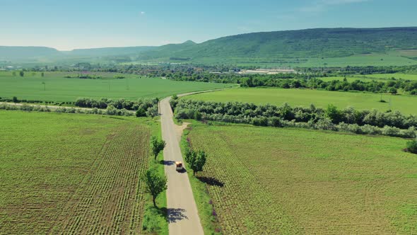 Aerial View Of The Sown Fields Near The Countryside Road.