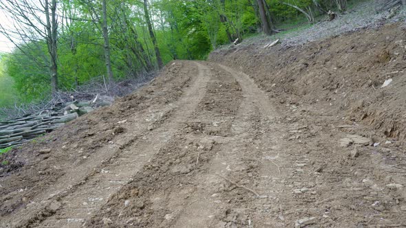 Dirt Road in the Woods