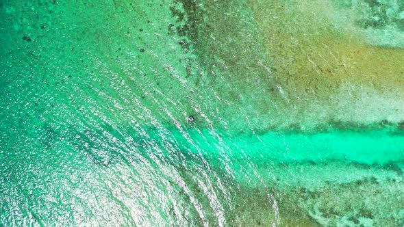 Aerial view sky of marine coast beach wildlife by aqua blue ocean and white sandy background of a da