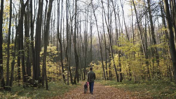 The Camera Follows a Man with a Dog Walking Through an Autumn Forest