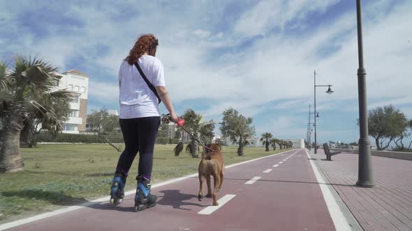 girl in line skate with her dog