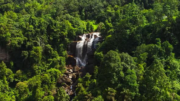 Waterfall in the Rainforest Jungle