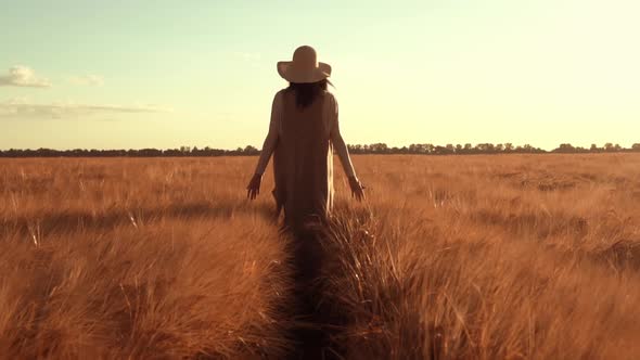 Landholder Walks Across the Field with Ripened Wheat