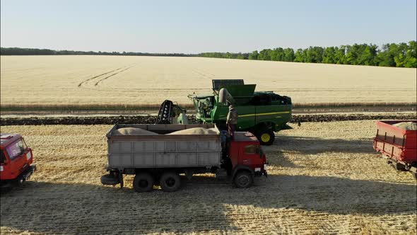 Combine Harvester Wheat