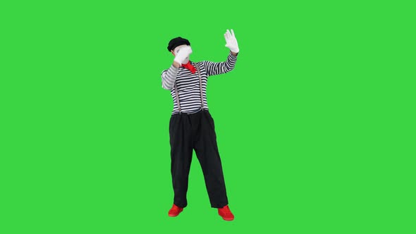 Funny Mime Taking Selfie Photos on a Green Screen Chroma Key