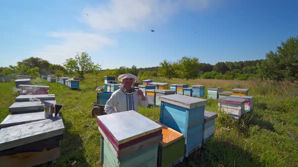 Beekeeping process in a sunny day