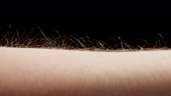 Hand Surface with Hair Closeup