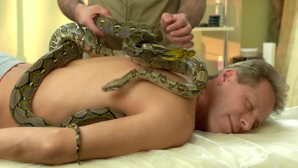 Man Receiving Exotic Snake Massage