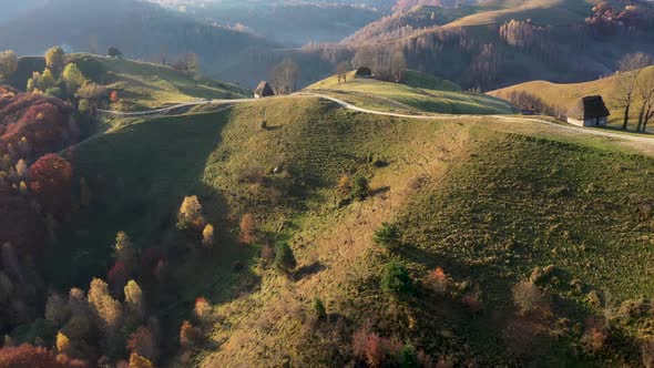 Flying Above Colorful Autumn Countryside Forest in the Mountains