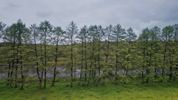 Aerial View of River and Field