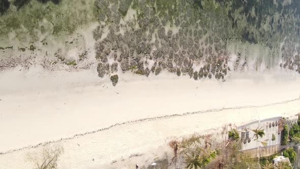 Vertical Video of Low Tide in the Ocean Near the Coast of Zanzibar Tanzania Aerial View