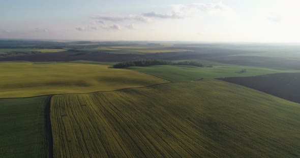 Landscapes Of Ukraine From Aerial View Field And Sky