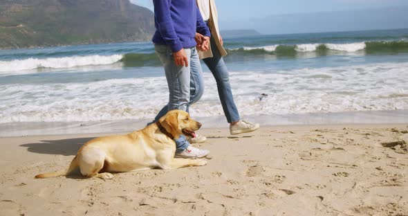 Mature couple walking on beach