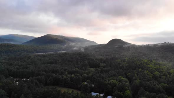 Aerial view of a forest in Maine USA