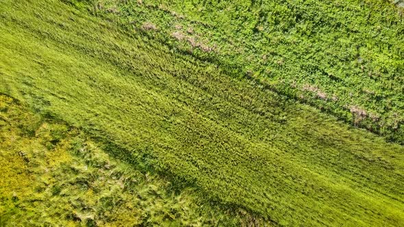 Plots Of Land Countryside